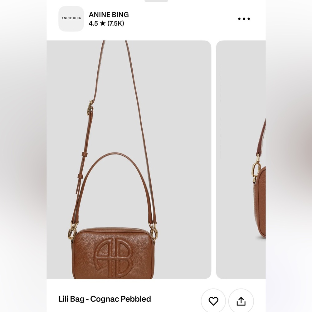 Lili Pebbled Leather Bag Anine bing